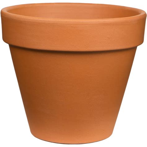 6 inch potted planters